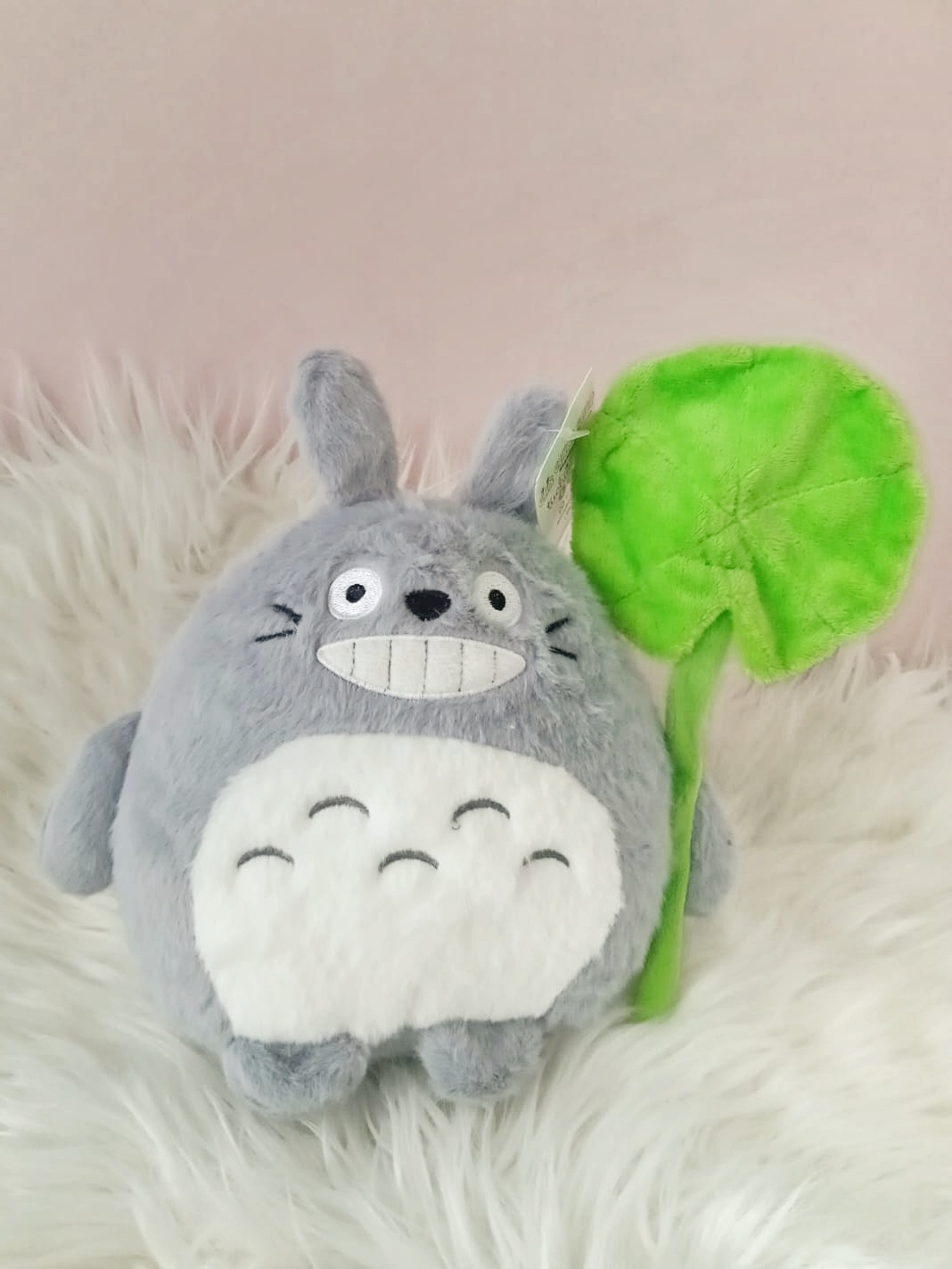 IMG-20260127-WA0061 peluches totoro en cali