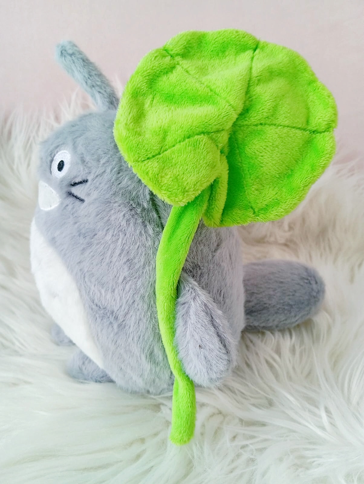 IMG-20260127-WA0062 peluches totoro en cali