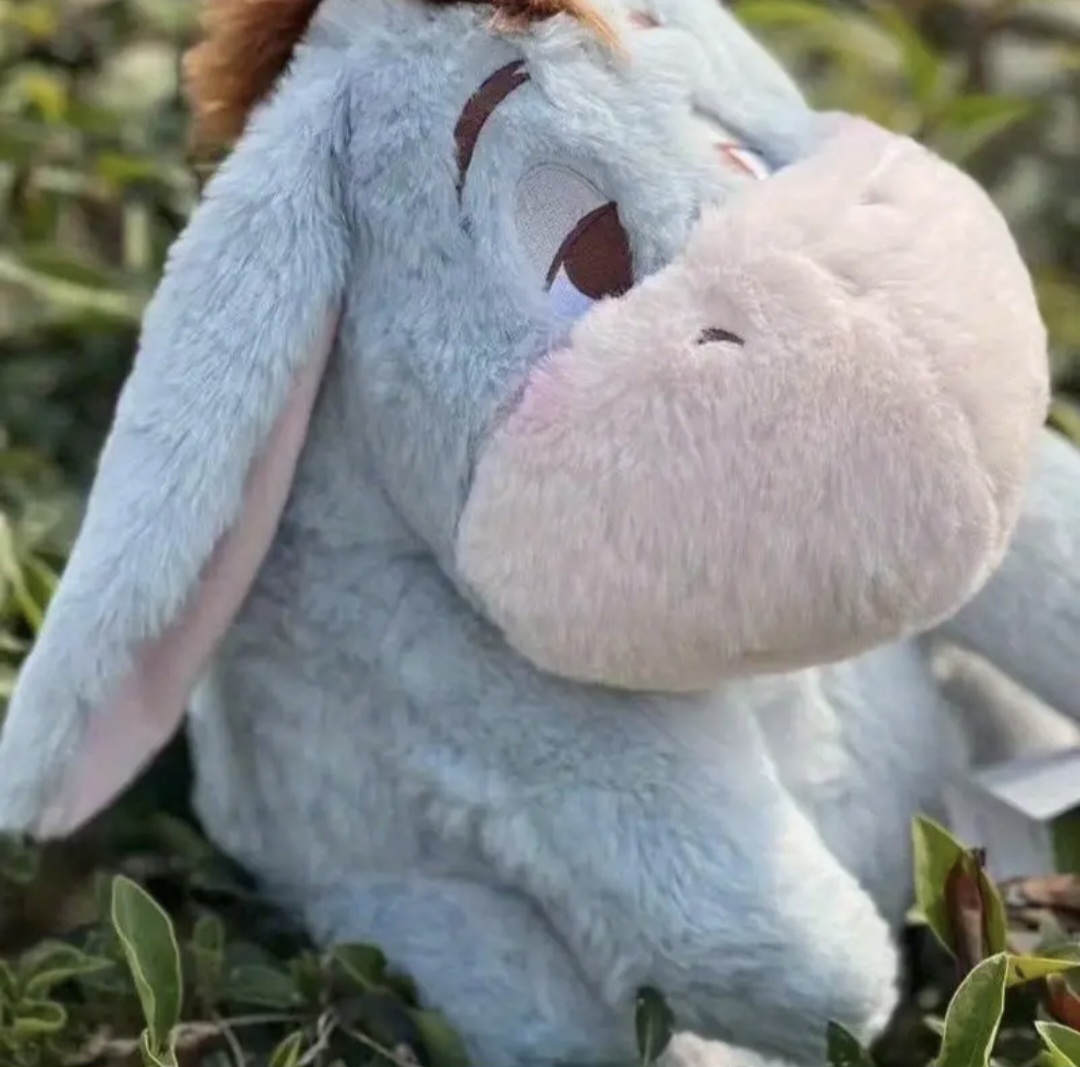 peluche igor tierno en cali peluche igor tierno en cali