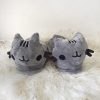 Babuchas gato pusheen en cali
