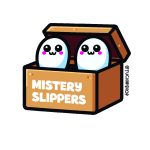Mistery Slippers