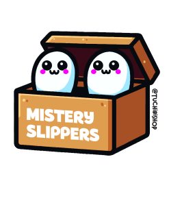 Mistery Slippers