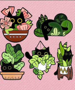 Pin de gatos en cali