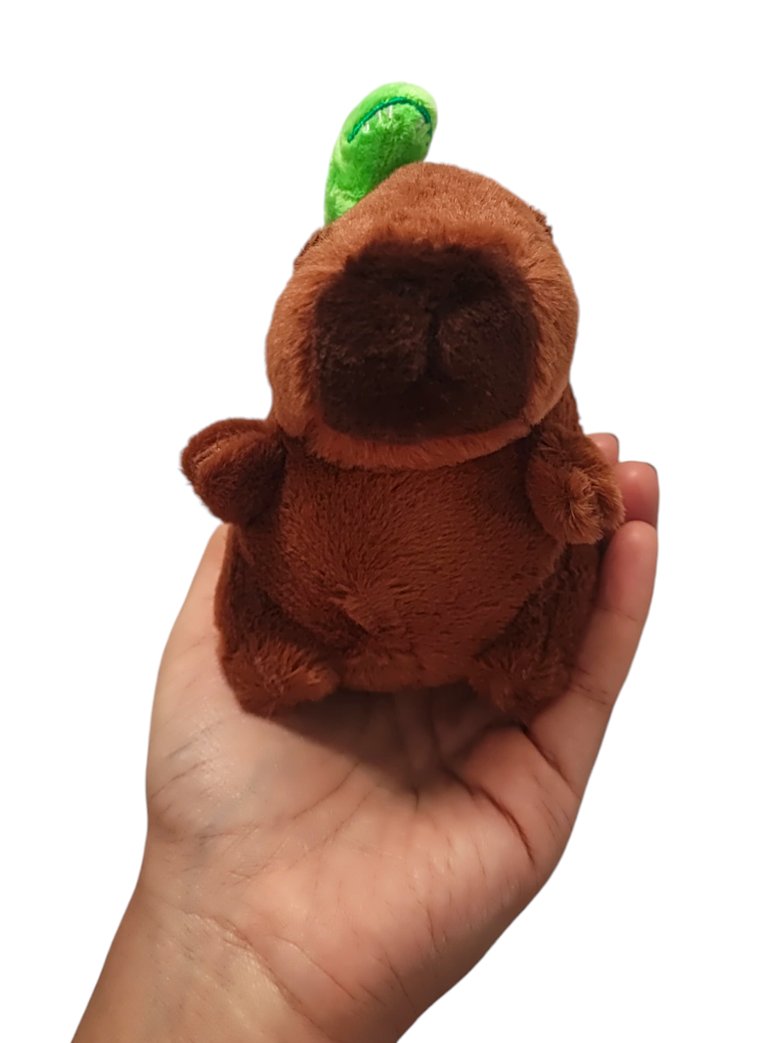 Llavero peluche de capibara Llavero peluche de capibara en cali