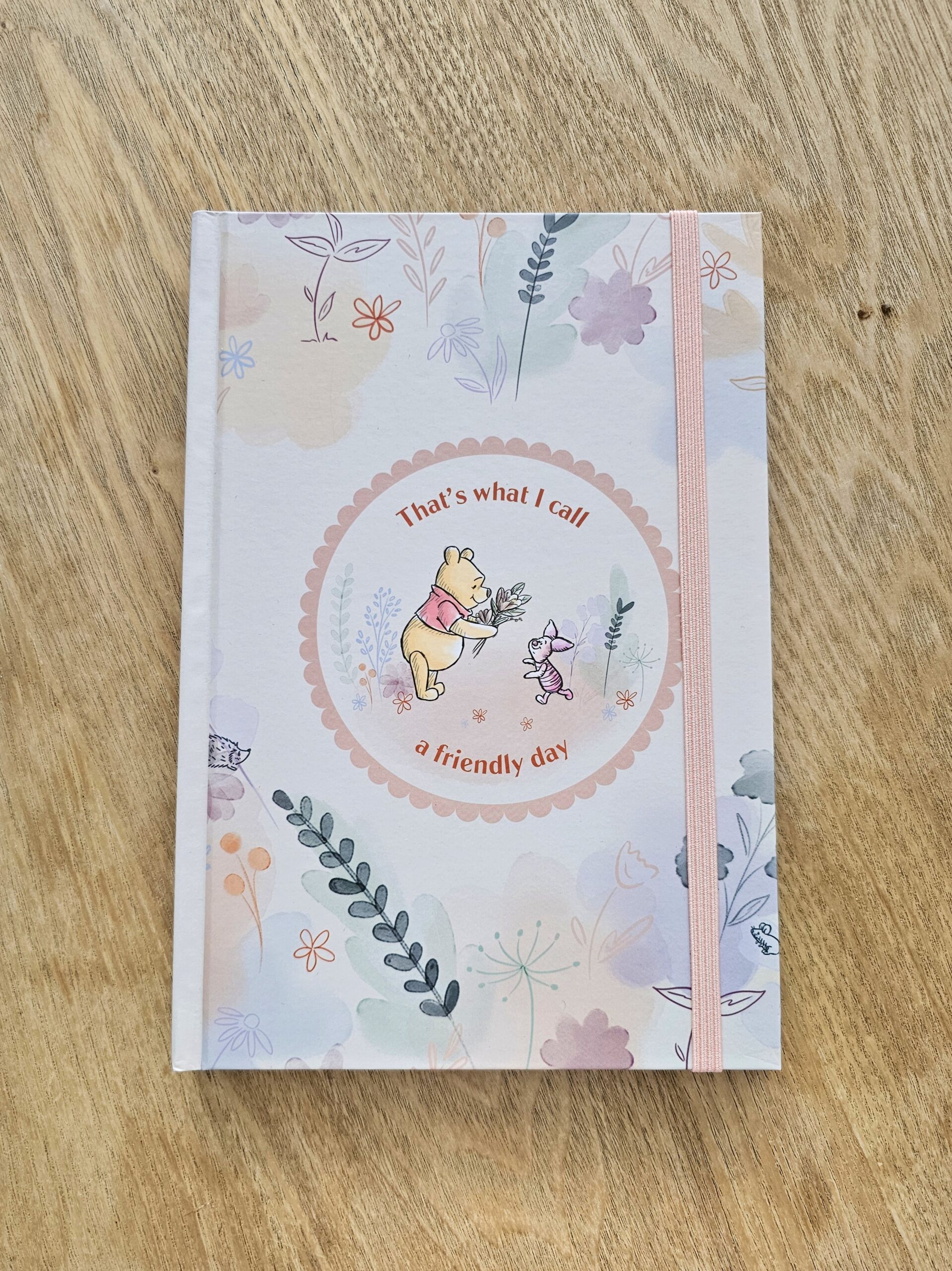 20241124_112058 libreta premium de winnie pooh en cali