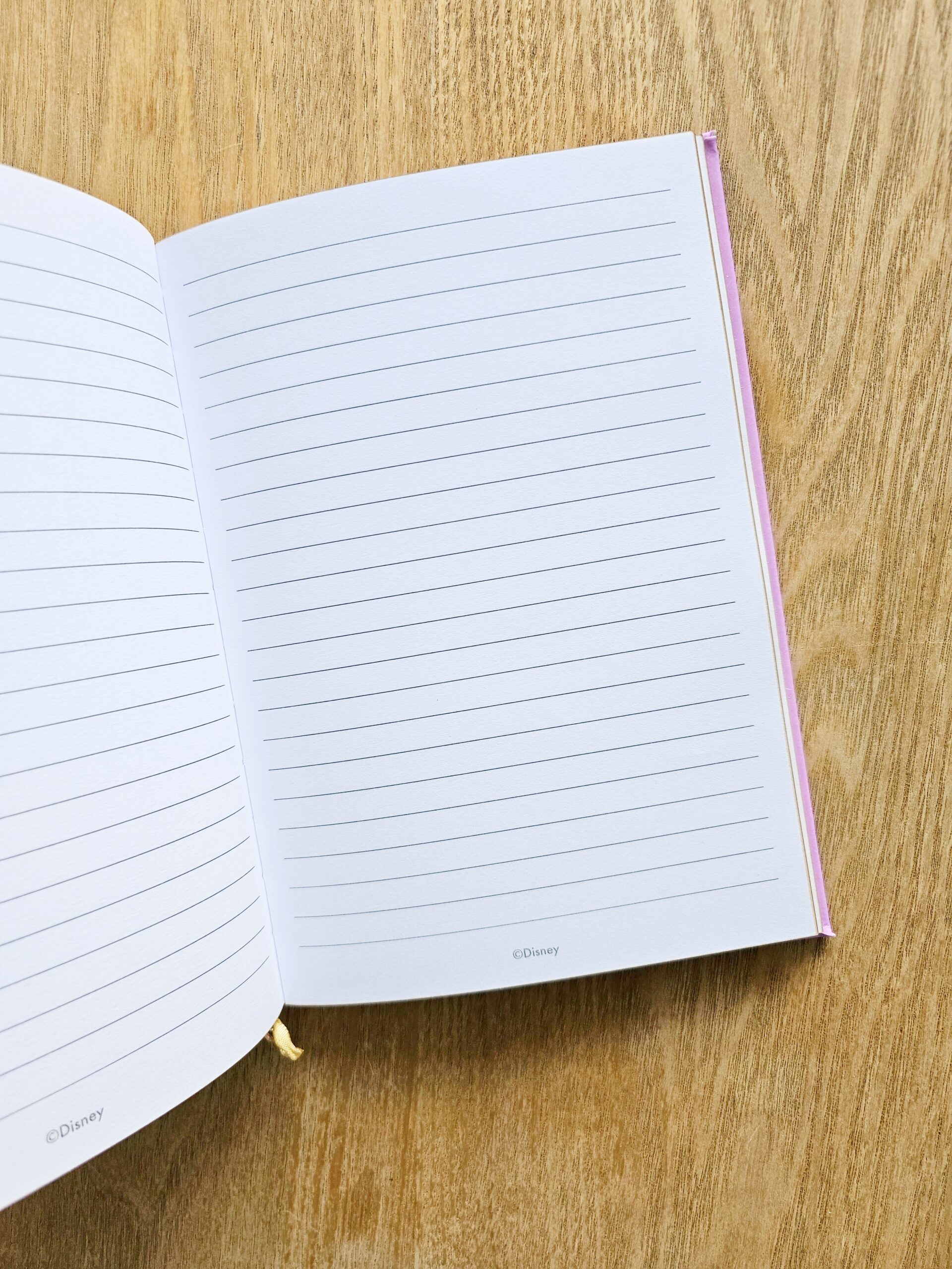 Agenda de La Bella y La Bestia Agenda de La Bella y La Bestia en cali