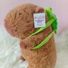 Peluche capibara en cali