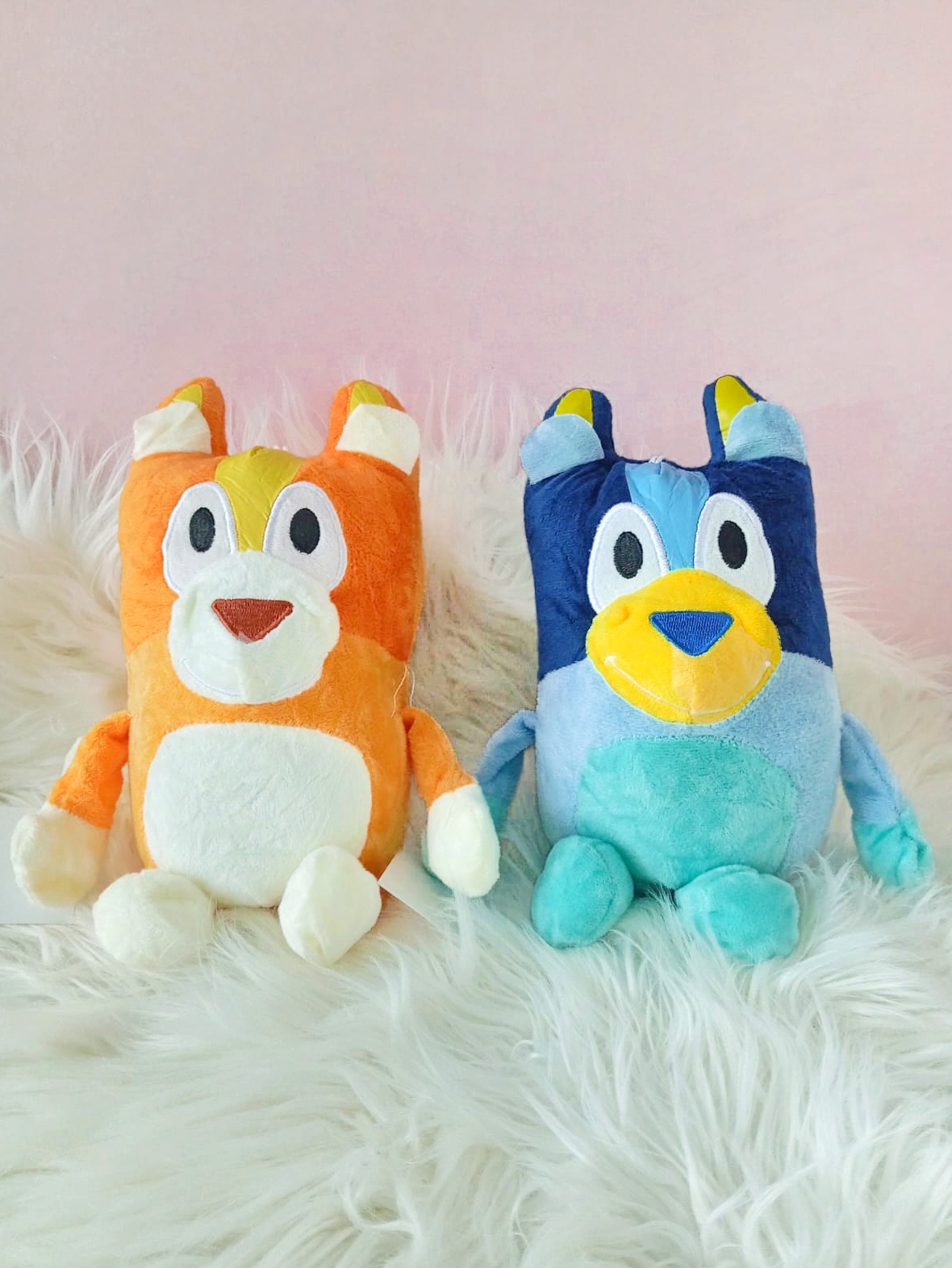 IMG-20260127-WA0083 peluche bluey y bingo en cali