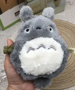 monedero totoro en cali